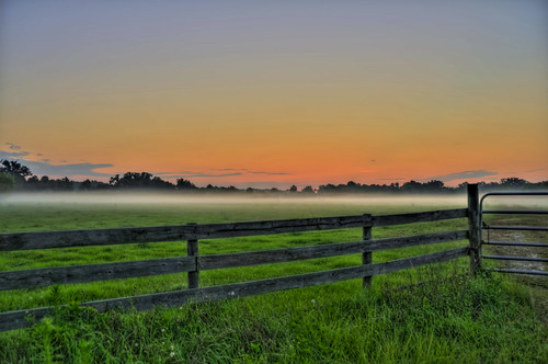 morning field grass fog clouds sunrise fence nikon florida farm pasture spanishmoss hdr highdynamicrange d300 grazingland photomatix manateecounty jonathansabin