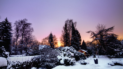 winter sunset wallpaper snow germany garden nikon frost widescreen violet bremen hdr d300 oberneuland photomatix