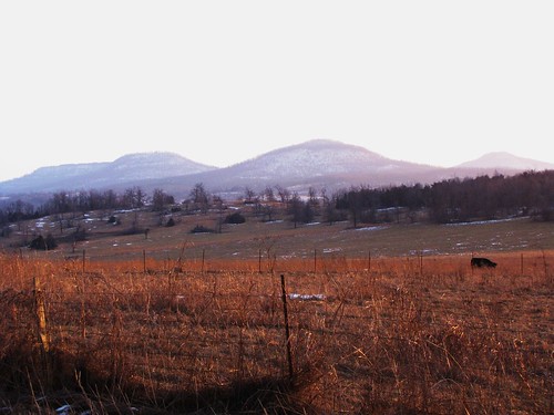 travel trees sunset sky usa snow nature clouds canon landscapes daylight scenery view cows state south country peaceful powershot hills daytime arkansas tranquil ozark sx10is waltphotos