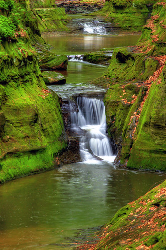 trees cliff water wisconsin waterfall gorge preserve wi baraboo skilletcreekfalls