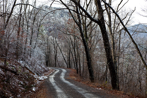 road trees winter mountain snow ice fog forest landscape frozen leaf woods branch ar nationalforest twig arkansas onf ouachitanationalforest tallmountain canoneos5dmarkii 5dmarkii canon5dmarkii