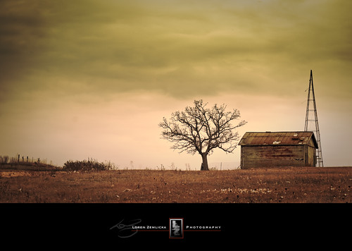 old november autumn tree fall abandoned broken windmill field wisconsin rural fence landscape photography countryside photo midwest image decay farm horizon country shed picture shack brokendown disrepair worndown canoneos5d canonef70200mmf4lisusm lorenzemlicka