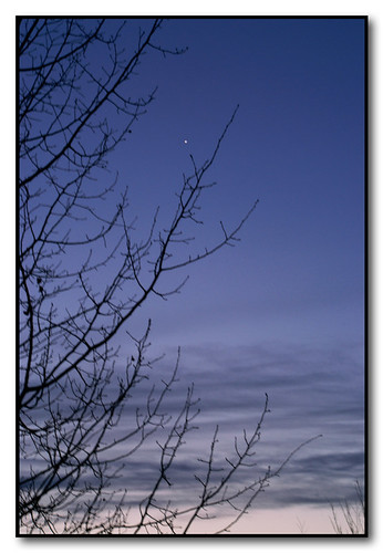 sky color clouds sunrise dawn washington spokane venus branches