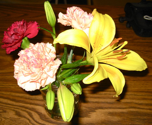 flower lily carnation