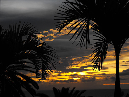 sunset sky palm montserrat hdr