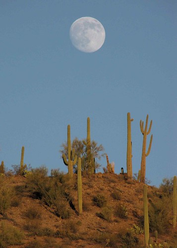 arizona usa moon mountains cacti landscapes desert unitedstatesofamerica gps 2009