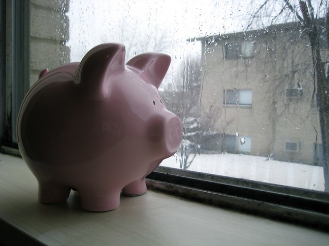 Piggy Bank Awaits the Spring