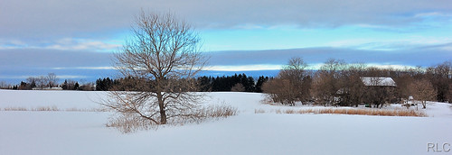 winter snow tree field sunrise farm bluesky d90 tokina1224mm