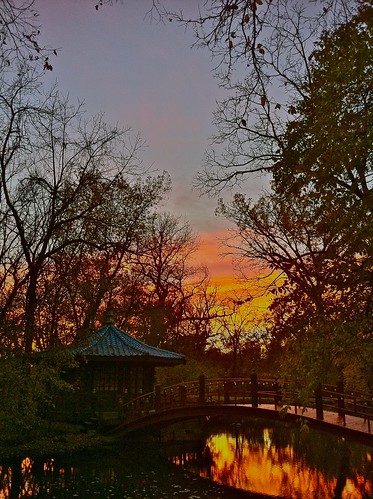 cameraphone bridge sunset color reflection fall water landscape asian pond teahouse iphone