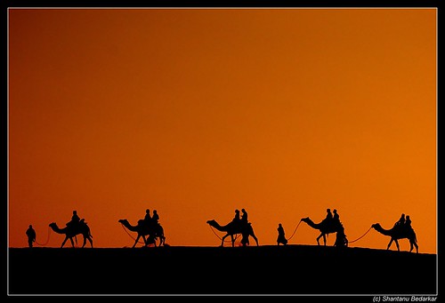 sunset india desert camel jaisalmer thar rajasthan nikond80 unseenindia