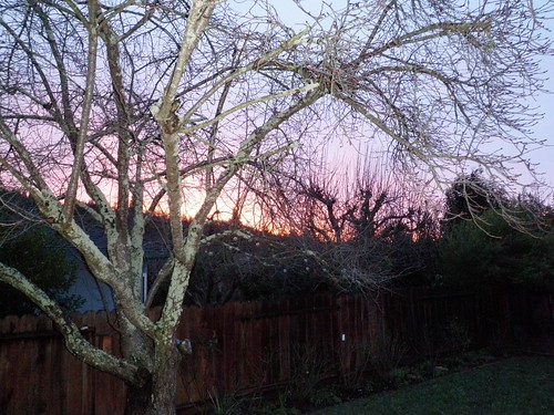 california sunrise sonomacounty santarosa