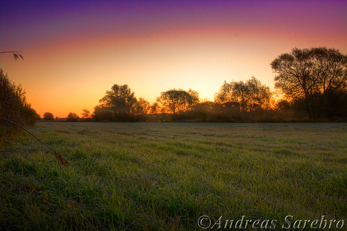 autumn sky tree field grass sunrise sweden hdr arboga gräs