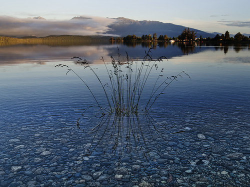 lake reflection grass sunrise bravo nz te anau aotearoa southland flickrsbest