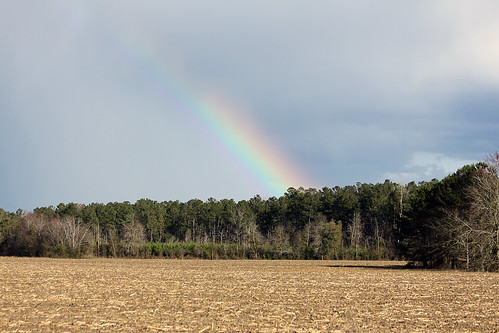 nature rainbow photographer sethberryphotography