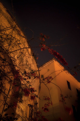 flowers architecture night dark campus florida miami vampire floridainternationaluniversity fiu