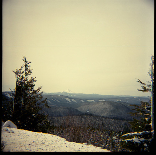 trees snow 120 film oregon forest volcano view diana f mtjefferson portra mounthood clearcut 400nc