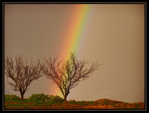 trees sky storm alberi rainbow cielo arcobaleno temporale iride
