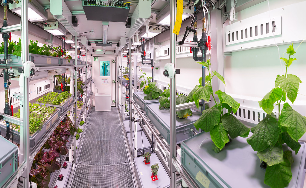 Das 'Future Exploration Greenhouse' im EDEN:ISS Gewächshaus
