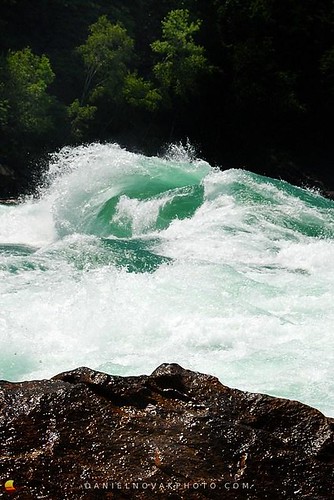 park wild white ny newyork nature water river landscape photography photo whitewater force power state image picture upstate niagara rapids whirlpool western gorge waternw10