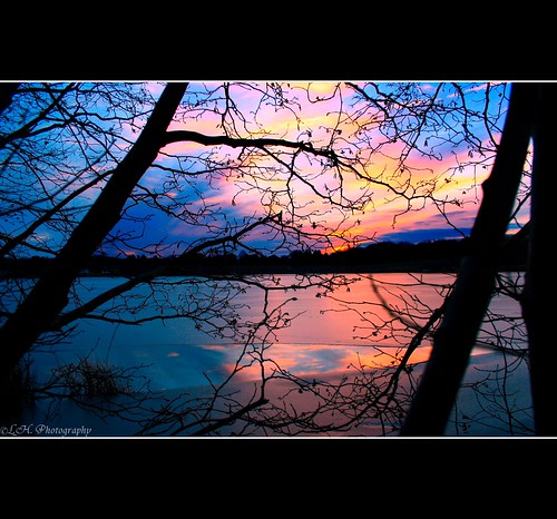 pink blue trees winter sunset sky orange black ice yellow frozen pond branches melted canonrebelxt img0028