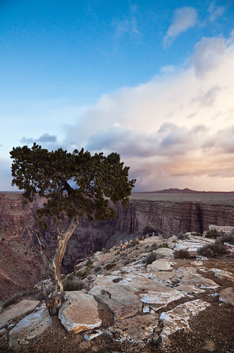 arizona tree clouds sunrise rocks desert grandcanyon canyon indianreservation
