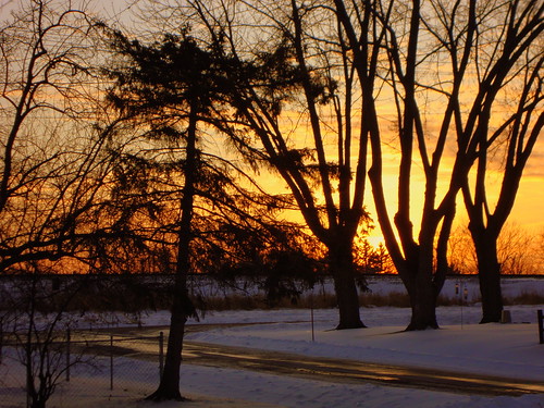 trees sunset snow wi marshfield wisconsinwinter