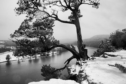 winter lake snow tree austin landscape rocks snowy overlook pennybackerbridge loop360bridge nomadicpursuits