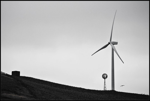 sky bw windmill silhouette digital landscape geotagged eos wind farm luke australia victoria grayscale turbine wedgetailedeagle 450d waubra digitalrebelxsi efs55250mmf456is canonefs55250f456is lushaki luketscharke geo:lat=37371556 geo:lon=143628945