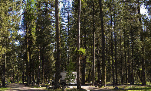 camping plants tree washington places transportation camper okanogan okanogancounty louploup 201006050003