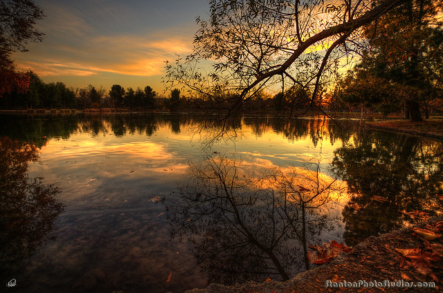 Golden Hour on duck pond - over 1000 comments! Yippeeee!