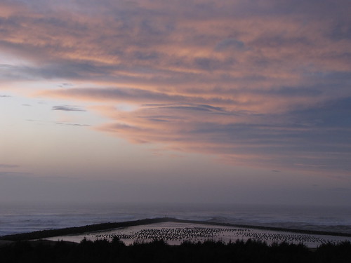 ocean sunset viewpoint umpqualighthouse