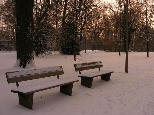 park trees snow sunrise germany bomen sneeuw benches duitsland zonsopgang banken gütersloh flussbetthotel