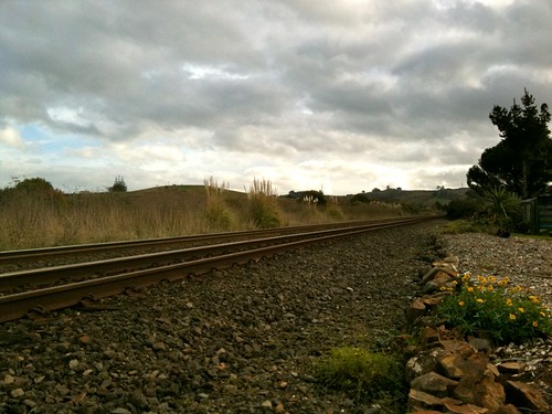 newzealand landscape rail trains waikato railways mainline nimt railpics