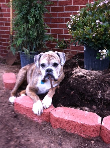 pip_with_compost