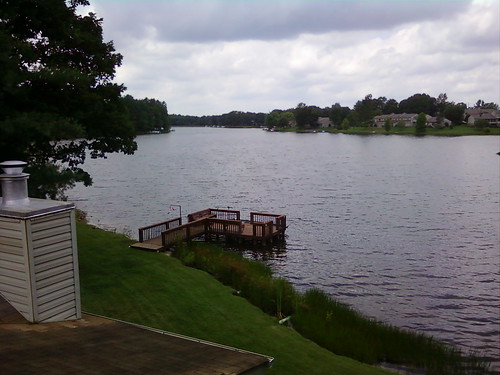 lake water grass dock tennessee overveiw