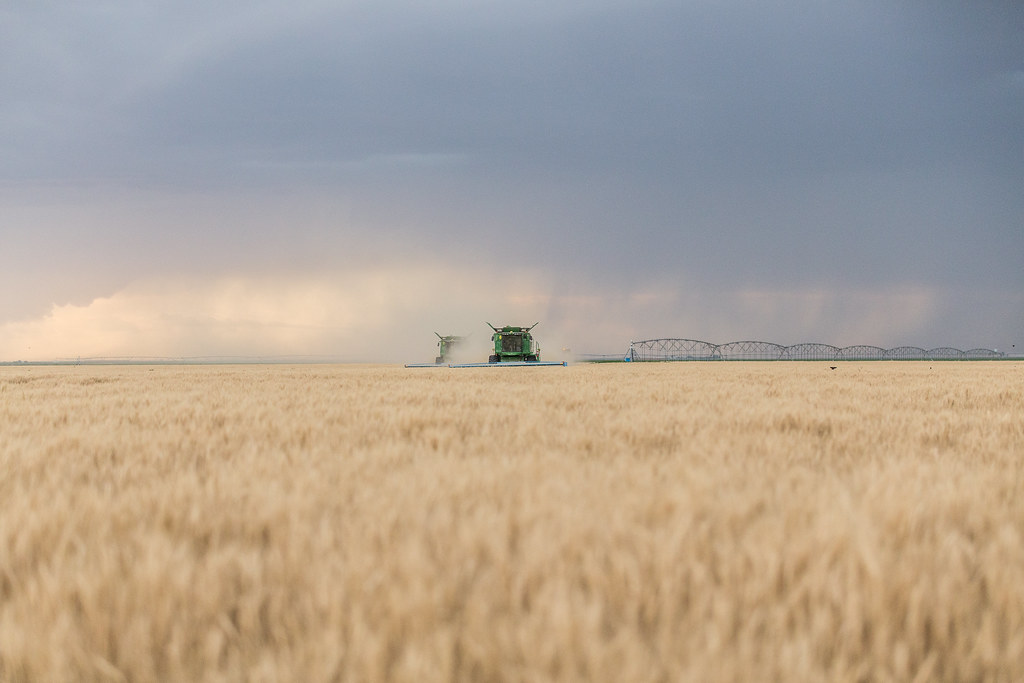High Plains Harvesting (Photo Credit: Laura)