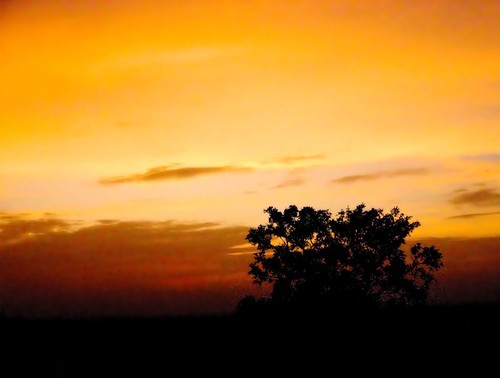 sunset golden jaipur
