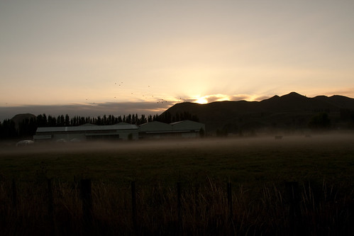 newzealand sun mist sunrise gisborne