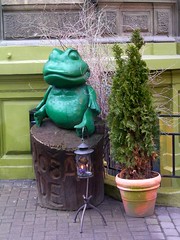 The Flying Frog, Riga