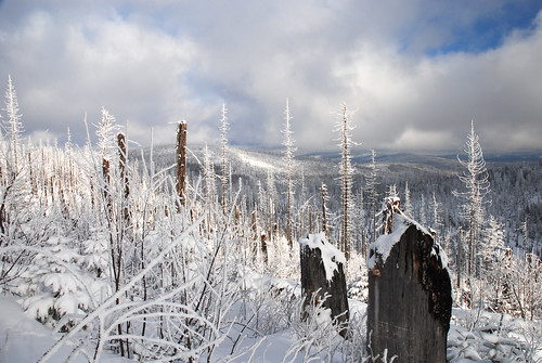 schnee winter bayern nationalpark familie tschechien ausflug niederbayern bayerischerwald lusen