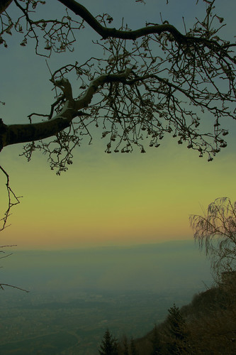 trees sunset sofia bulgaria vitosha