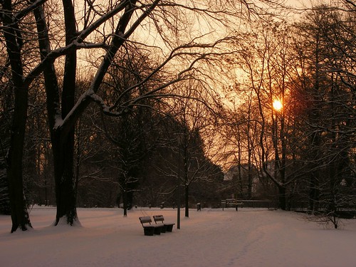 park trees snow sunrise germany bomen sneeuw benches duitsland zonsopgang banken gütersloh flickrchallengegroup 15challengeswinner flussbetthotel