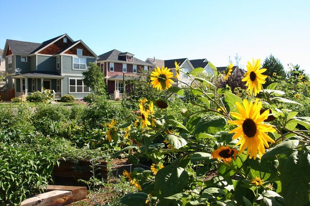 Highlands' Garden Village, Denver (courtesy of Peter Calthorpe)