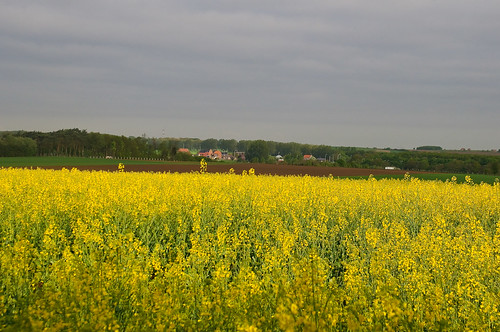 sun yellow landscape spring nikon colorful belgium expressive snapshots mei onderweg