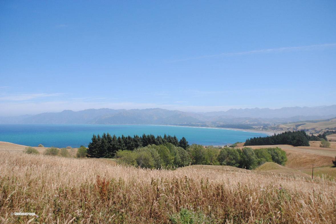 Kaikoura Viewpoint, Uusi-Seelanti