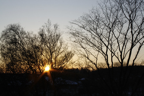 sunset sky tree ciel arbre coucherdesoleil