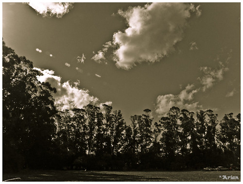 trees sky paisajes tree backlight clouds contraluz landscape arbol arboles cielo nubes