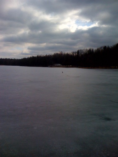 lake ice frozen indiana goose lonely iphone fowlerpark