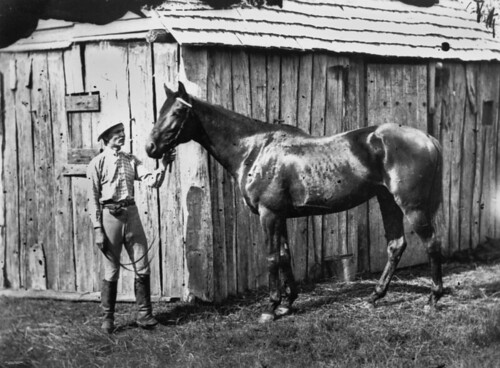 horses photographer william queensland grooms stables boag statelibraryofqueensland mensclothing slq