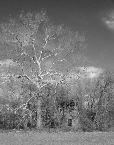 winter blackandwhite abandoned landscape virginia ruins decay easternshore vacant decrepit decayed cashville onancock passionphotography accomack